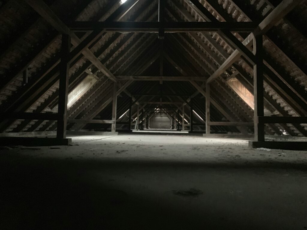 Attic Cleaning